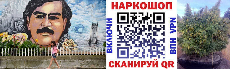 Где купить Кадников Псилоцибиновые грибы  Меф мяу мяу  ГАШИШ  Экстази  Альфа ПВП 