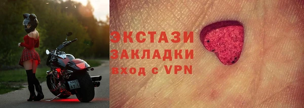 тгк Ельня