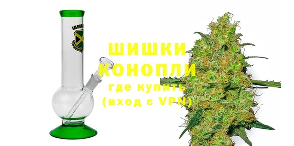 тгк Ельня