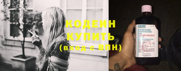 тгк Ельня
