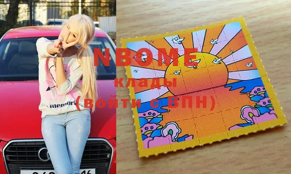 стафф Елизово