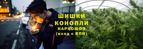 тгк Ельня