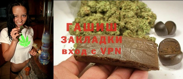 тгк Ельня