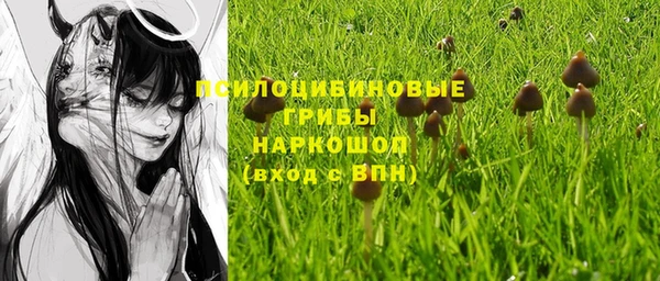 стафф Елизово