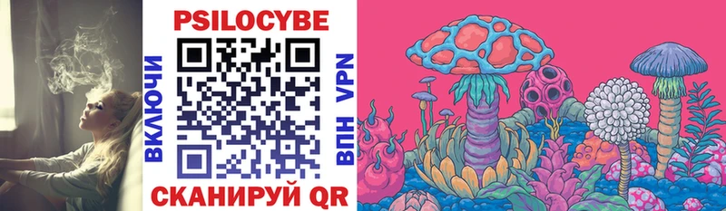 Галлюциногенные грибы Psilocybe купить закладку гидра как войти Кадников